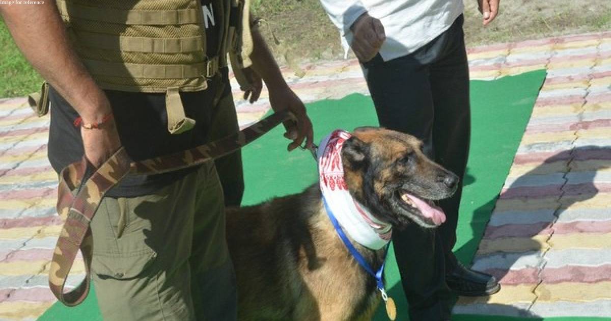Assam: K9 dog squad hero 'Zorba' with over 60 records passes away